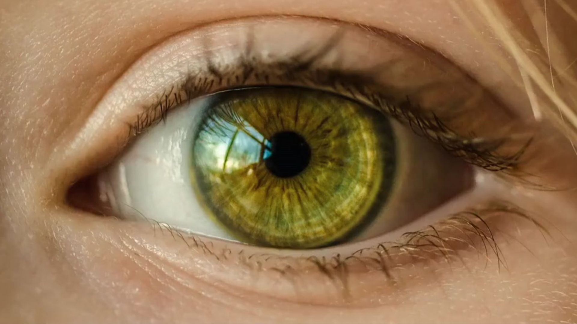 L’hypnose et les neurosciences : une alliance au service de la thérapie
